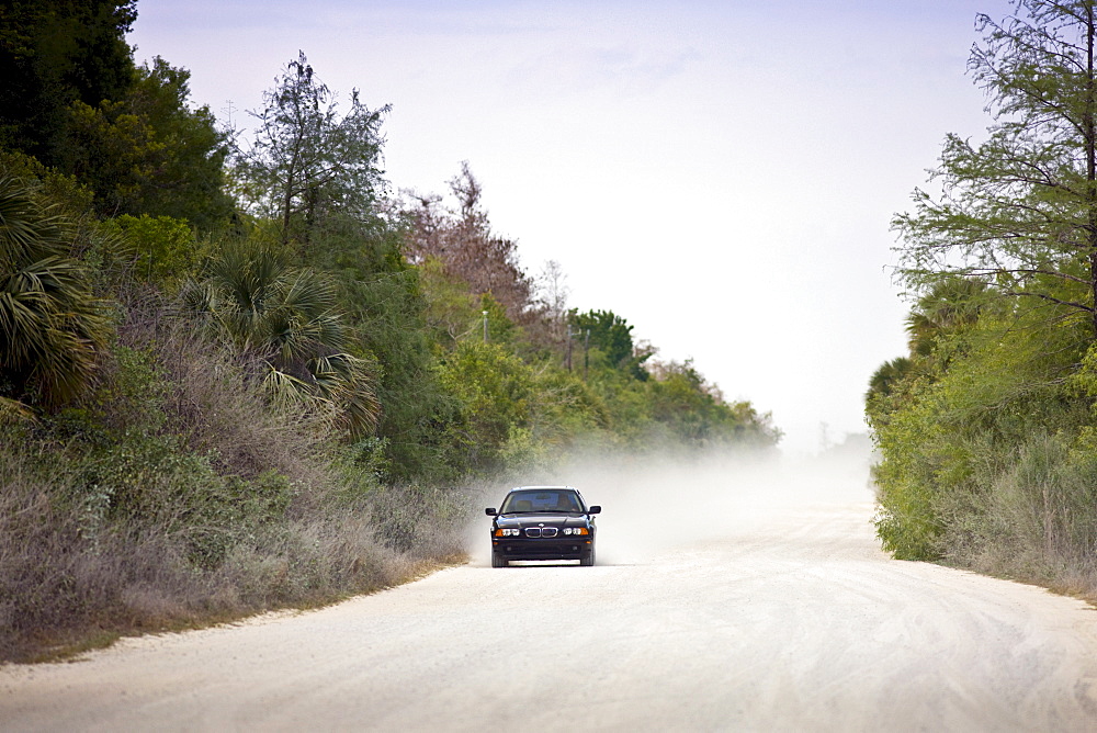 Car on dusty Turner River Road, Florida Everglades, USA