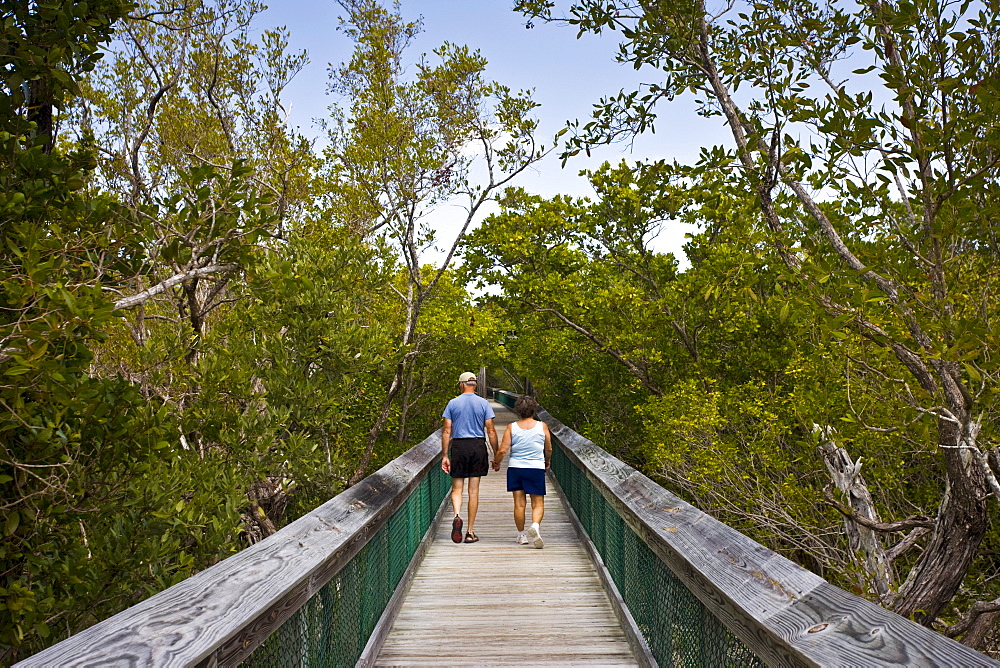 Tourists on boardwalk in the Everglades, Florida, United States of America