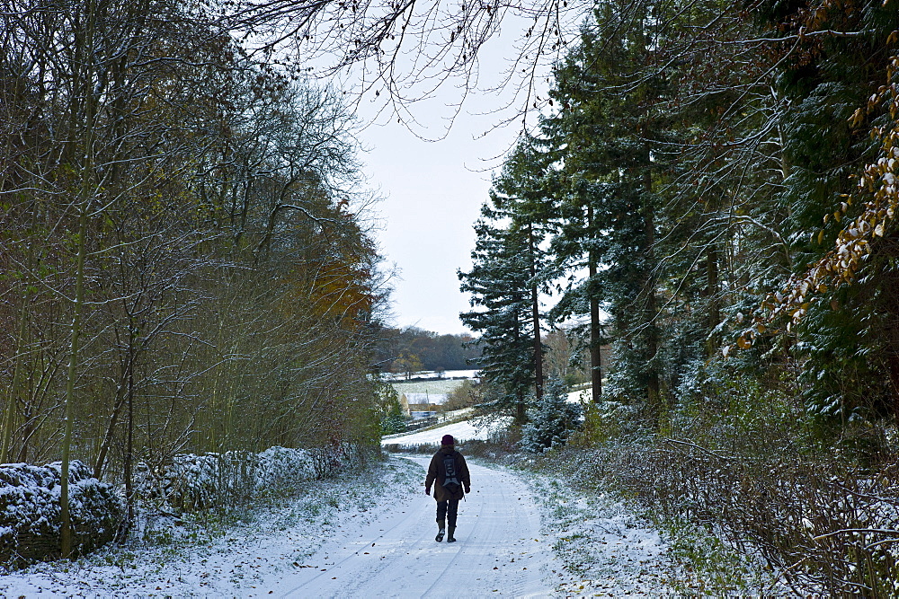 Walker in country lane in frosty wintry landscape in The Cotswolds, Oxfordshire, UK