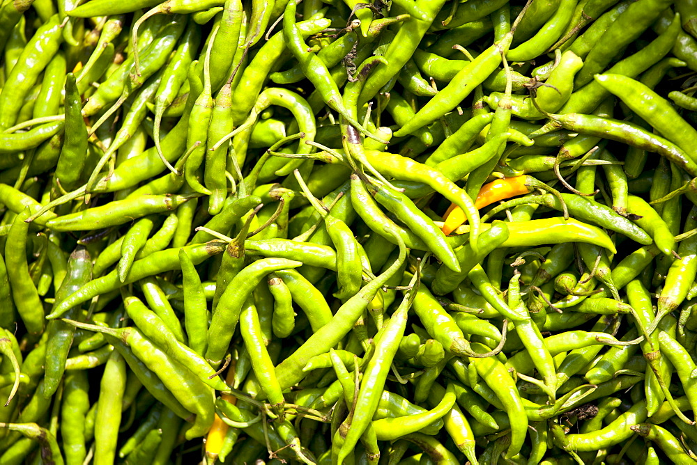 Old Delhi, Daryagang fruit and vegetable market  with green chillies on sale, India