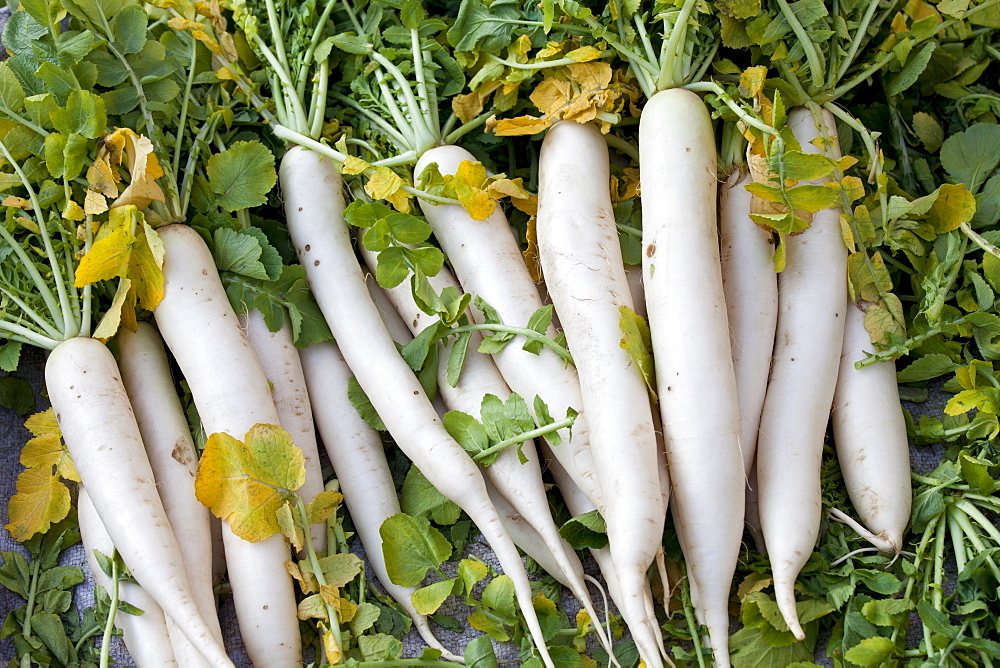 Old Delhi, Daryagang fruit and vegetable market  with radishes on sale, India