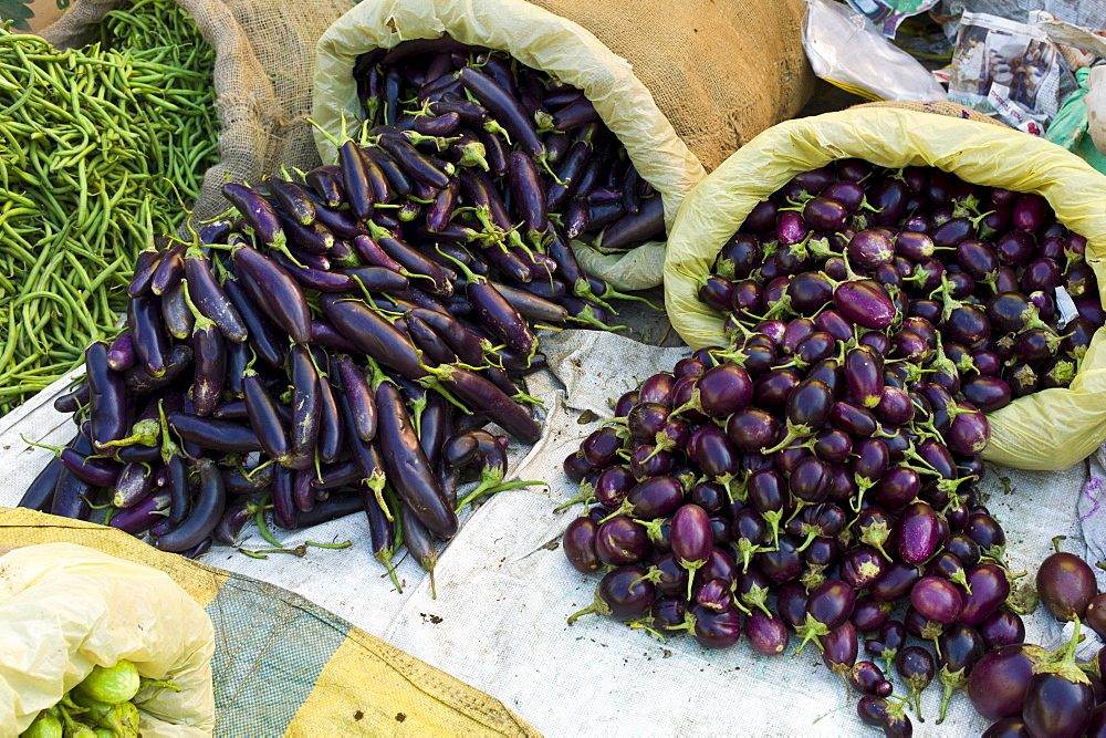 Old Delhi, Daryagang fruit and vegetable market, aubergines, eggplants and green beans on sale, India