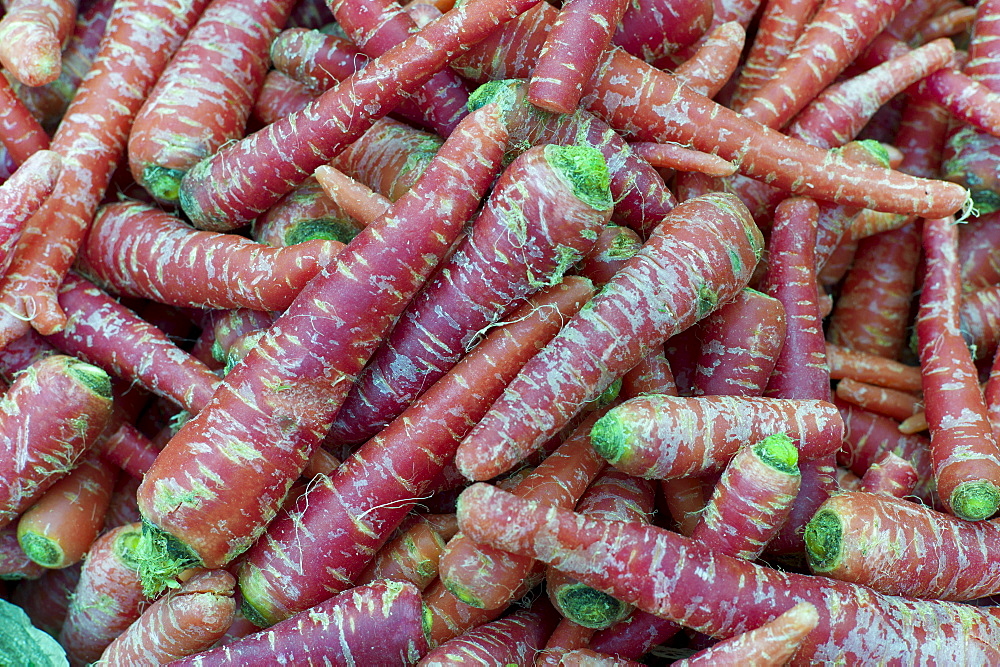 Old Delhi, Daryagang fruit and vegetable market with red carrots on sale, India