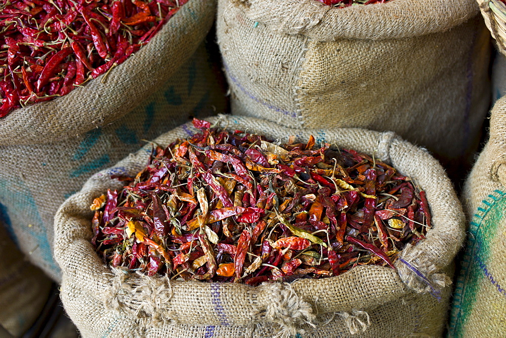 Red chillies on sale at Khari Baoli spice and dried foods market, Old Delhi, India