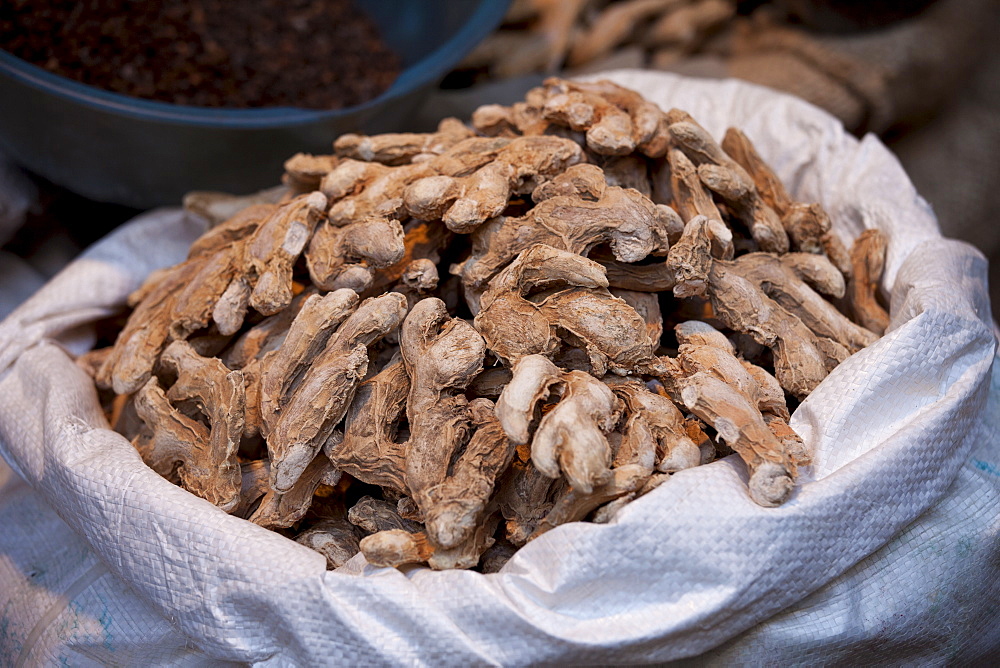 Dried root ginger on sale at Khari Baoli spice and dried foods market, Old Delhi, India