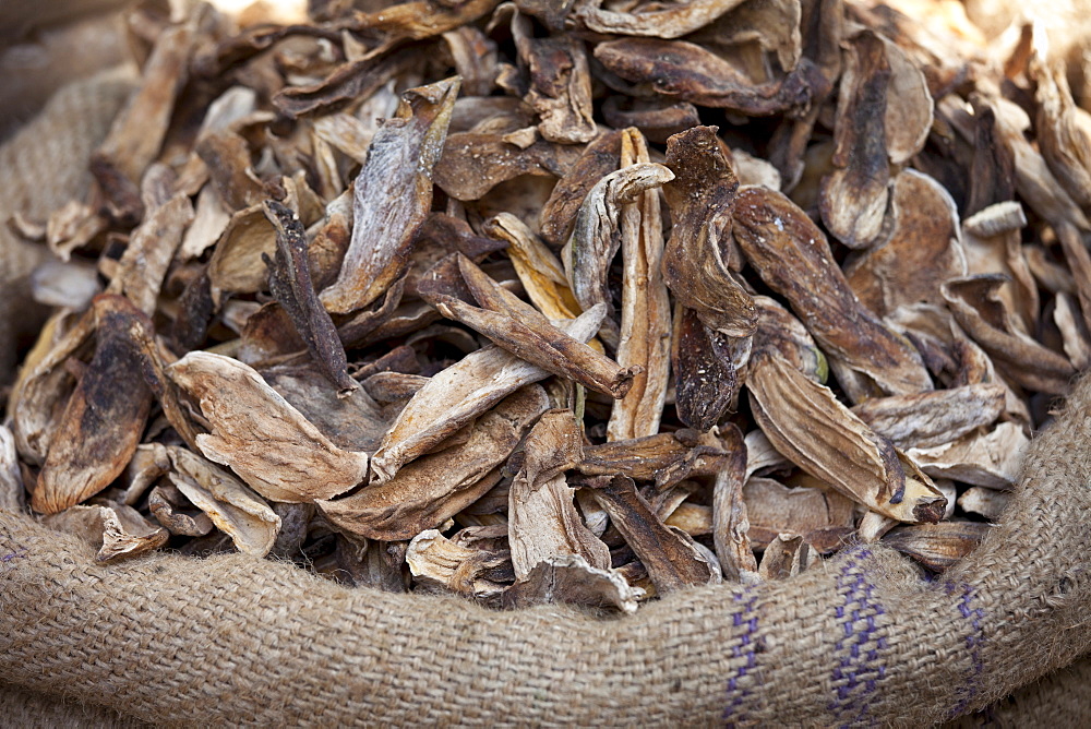 Dried mango skins on sale at Khari Baoli spice and dried foods market, Old Delhi, India