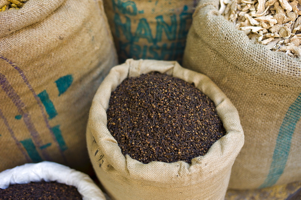 Sacks of dried cloves and ginger at Khari Baoli Spice and Dried Foods Market in Old Delhi, India