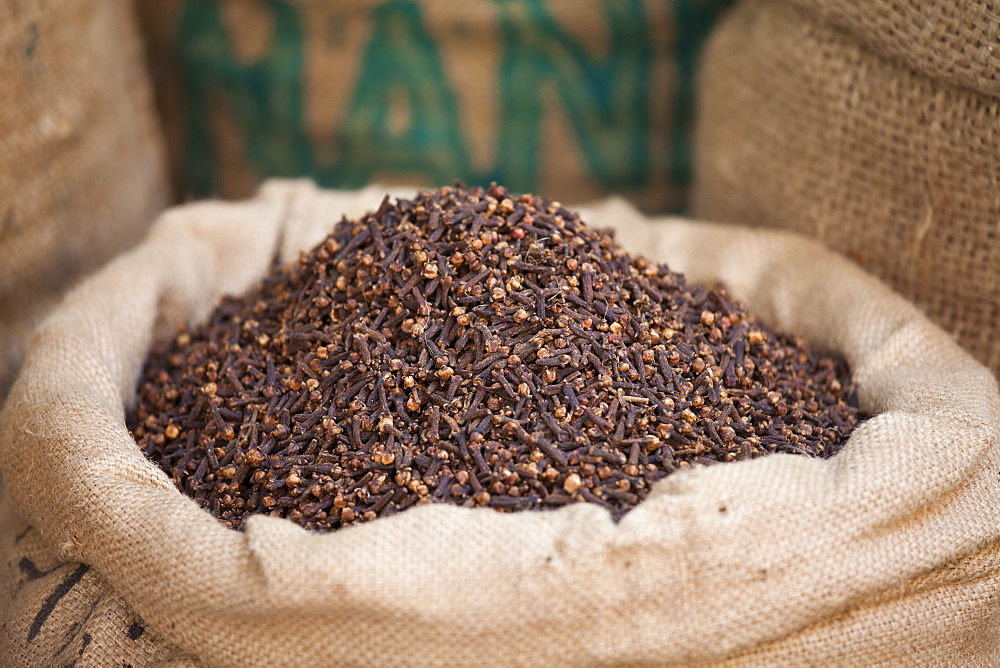 Sacks of dried cloves at Khari Baoli Spice and Dried Foods Market in Old Delhi, India