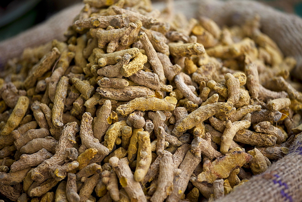 Dried ginger root on sale at Khari Baoli spice and dried foods market, Old Delhi, India