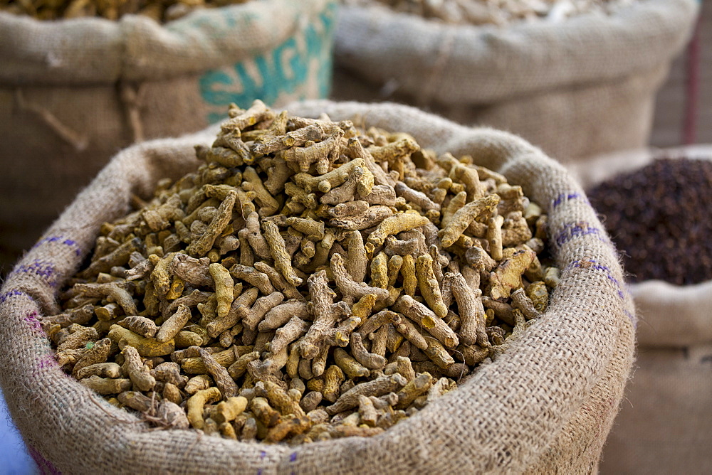 Dried ginger root on sale at Khari Baoli spice and dried foods market, Old Delhi, India