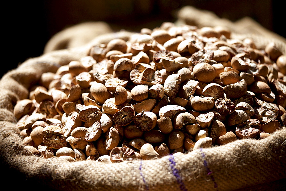 Betel nuts (Areca Nut) on sale at Khari Baoli spice and dried foods market, Old Delhi, India