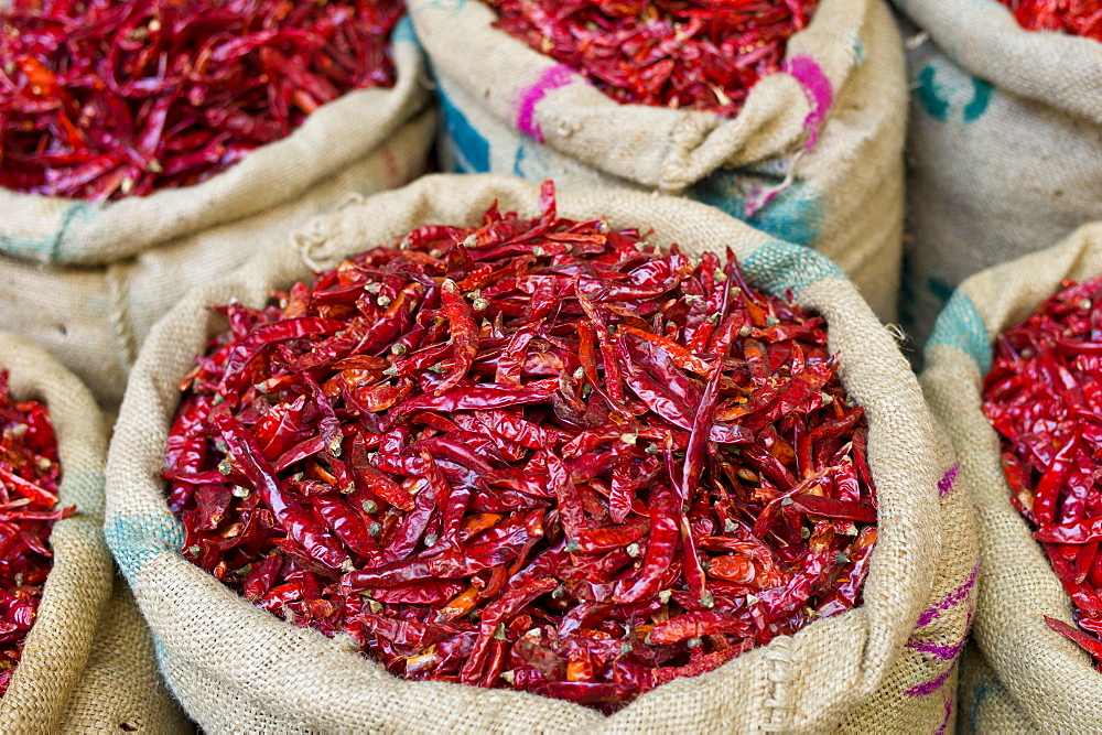 Red chillies on sale at Khari Baoli spice and dried foods market, Old Delhi, India