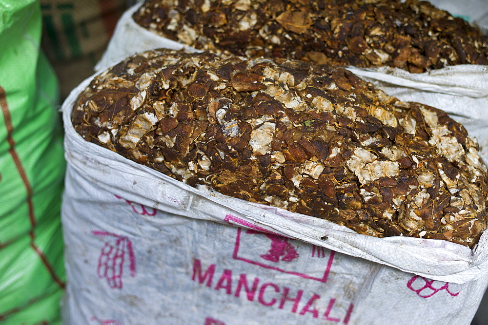 Tamarind on sale at Khari Baoli spice and dried foods market, Old Delhi, India