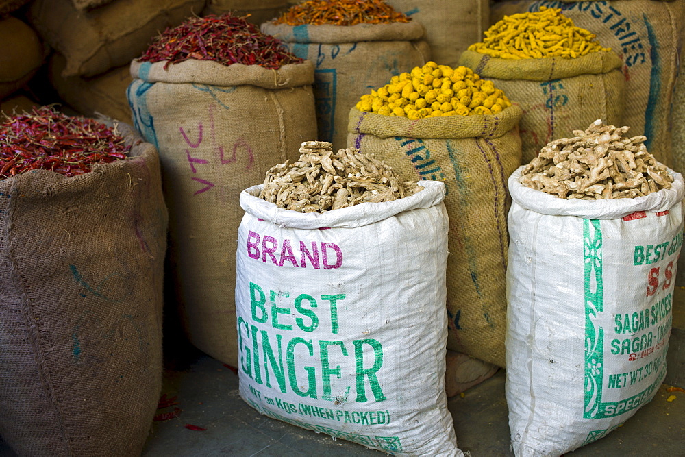 Red chillies, turmeric and ginger root on sale at Khari Baoli spice and dried foods market, Old Delhi, India