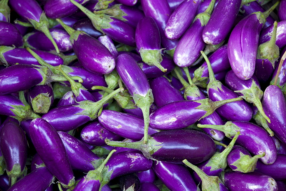 Fresh aubergines on sale at market stall in Varanasi, Benares, India