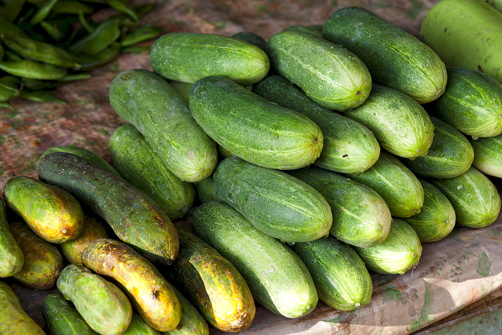 Fresh cucumbers on sale at market stall in Varanasi, Benares, India