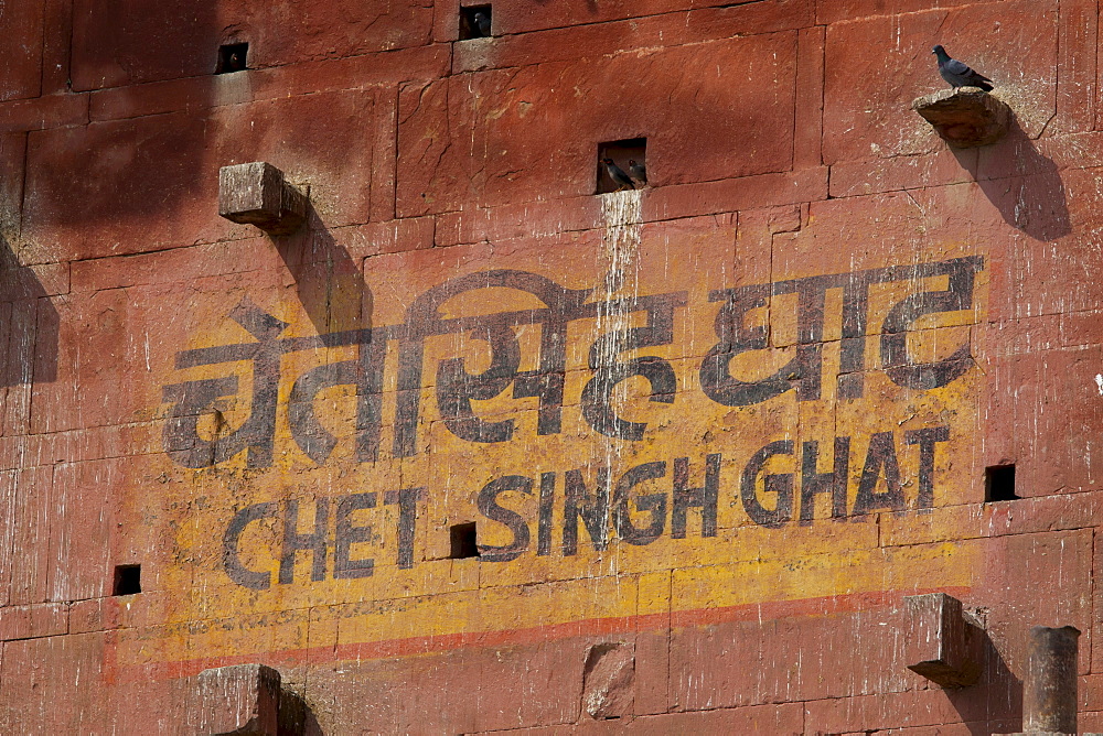 Sign in Indian script and English for Chet Singh Ghat with mynah birds and pigeons roosting in niches in holy city of Varanasi, India