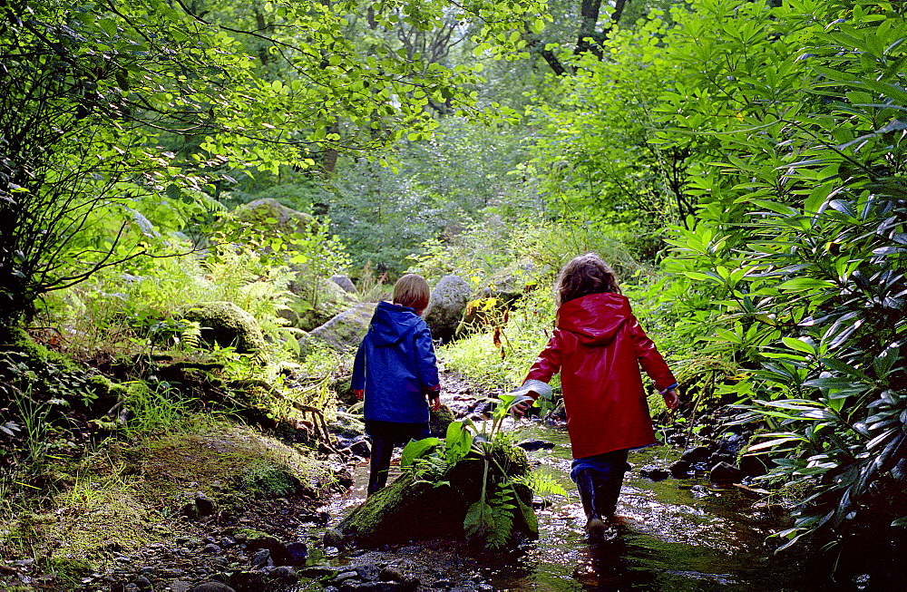 A four year old boy and five year old girl playing in a stream in Devon