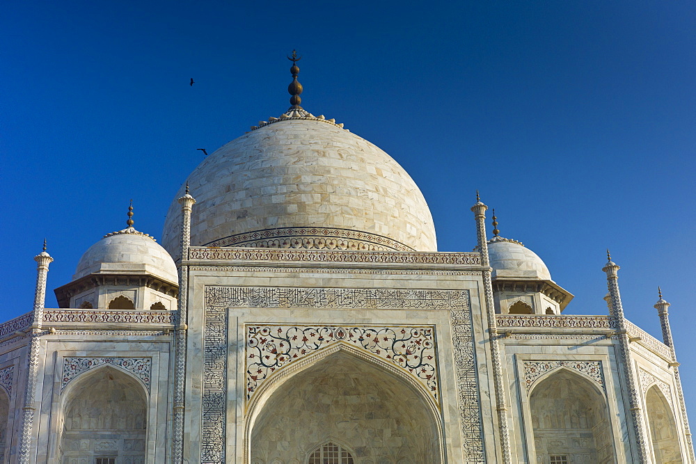 The Taj Mahal mausoleum with birds flying around the dome, southern view detail of iwans with bas relief marble, Uttar Pradesh, India