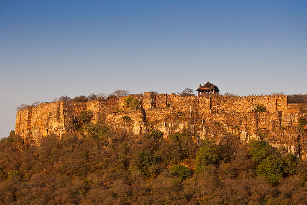 Ganesh Dham muslim temple at Ranthambhore Fort, Ranthambhore, Rajasthan, Northern India