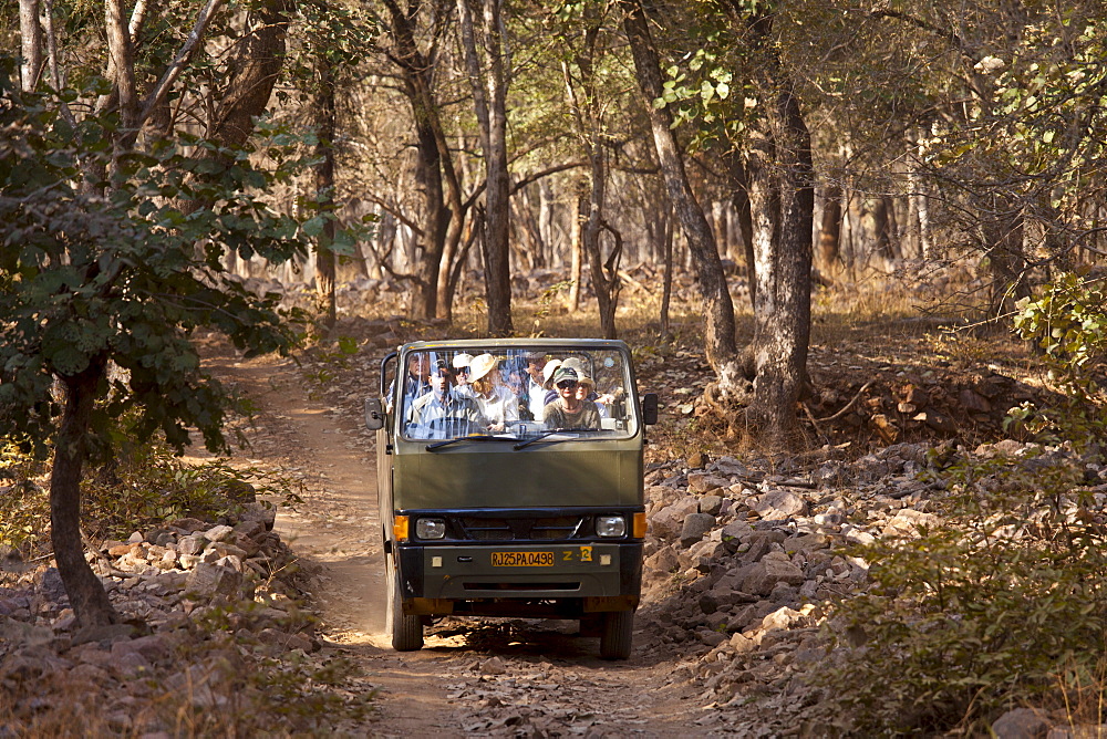 Tour group of eco-tourists in Ranthambhore National Park, Rajasthan, Northern India