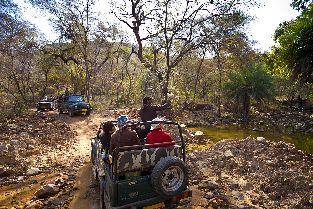 Tour groups of eco-tourists in Maruti Suzuki Gypsy King 4x4 vehicle at waterhole in Ranthambhore National Park, Rajasthan, India