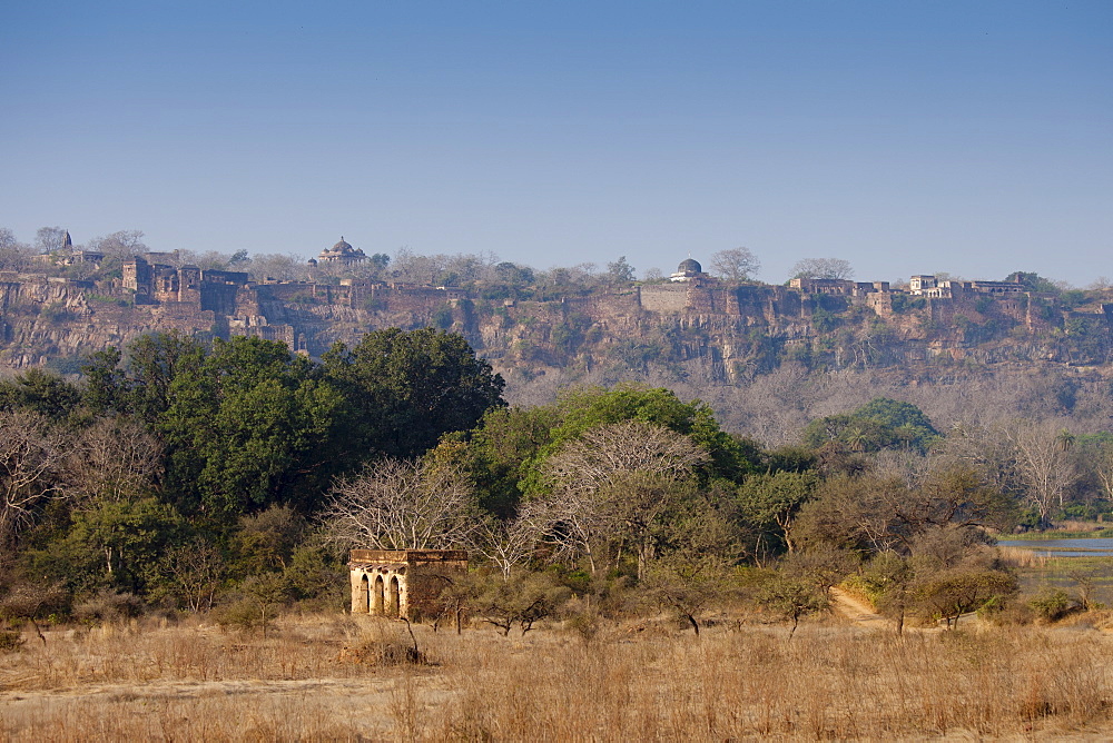 Maharaja of Jaipur's Hunting Lodge with Ranthambhore Fort behind in Ranthambhore National Park, Rajasthan, Northern India