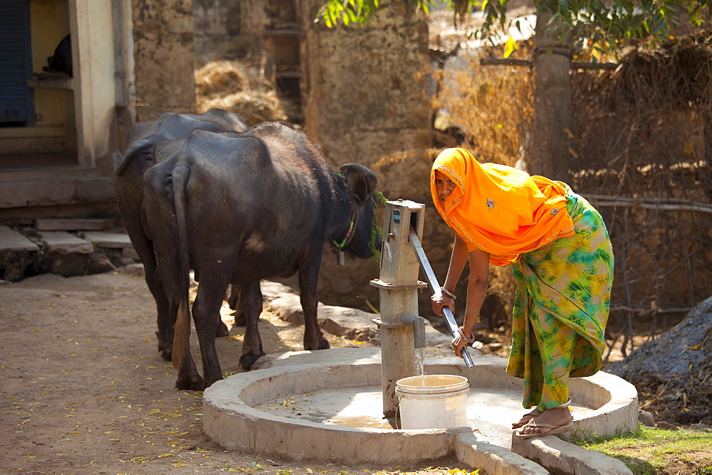 Indian woman villager pumping water from a well at Sawai Madhopur in Rajasthan, Northern India