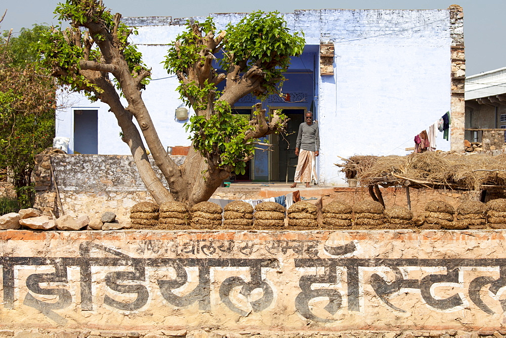 Indian villager at home with dried cow dung for fuel in Sawai Madhopur in Rajasthan, Northern India