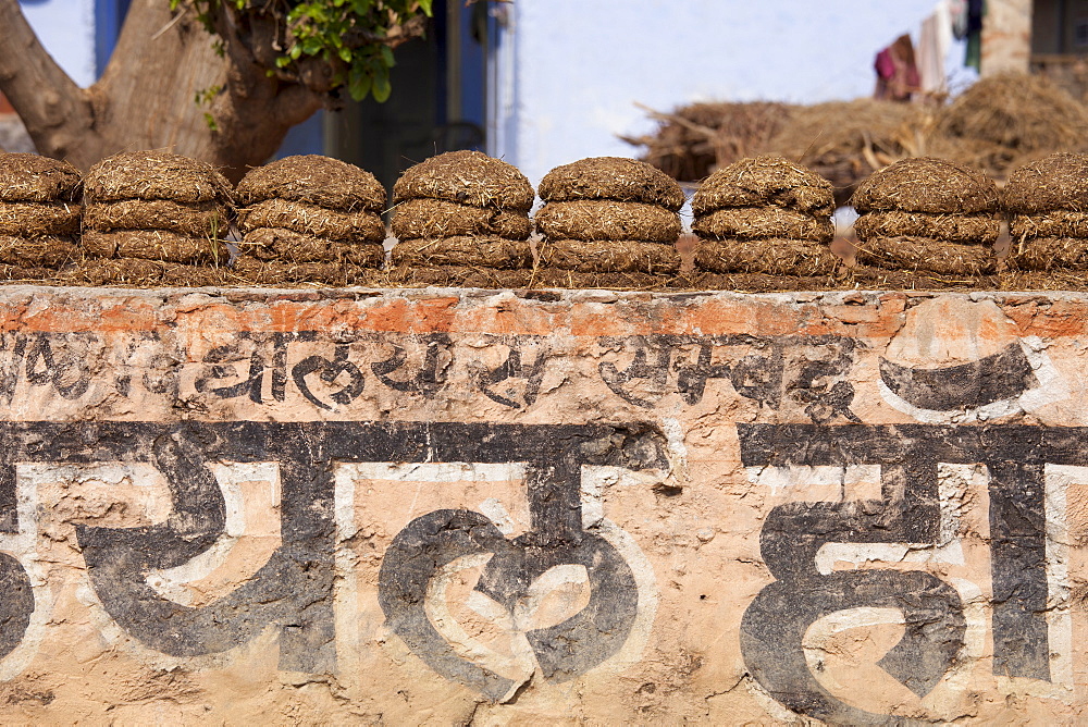 Indian village home with dried cow dung for fuel in Sawai Madhopur in Rajasthan, Northern India