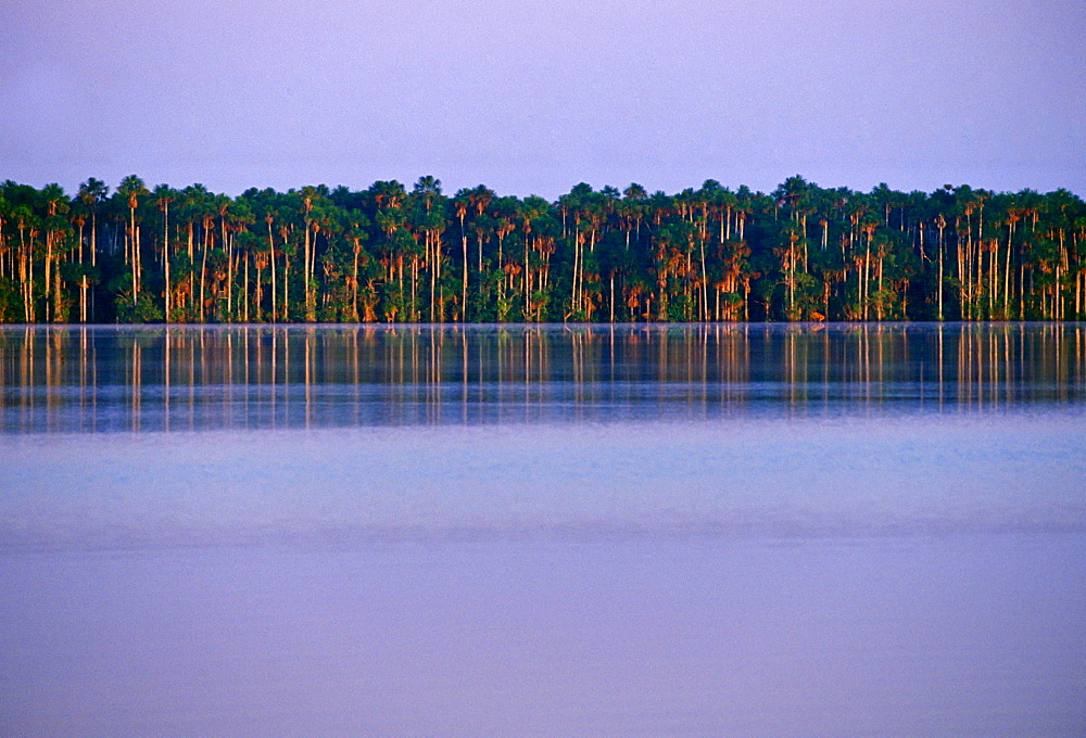 Lake Sandoval, Peruvian Rainforest, South America