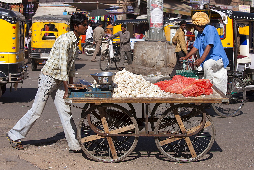 Garlic seller in street scene at Sardar Market at Girdikot, Jodhpur, Rajasthan, Northern India