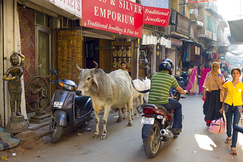 Crowded street scene people, cows, traffic at Sardar Market at Girdikot, Jodhpur, Rajasthan, Northern India