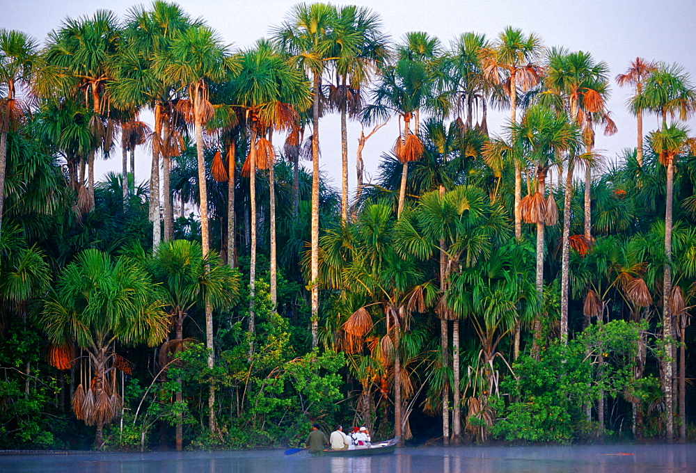 Tourists in a boat on Lake Sandoval, Peruvian Rainforest, South America in the early morning.