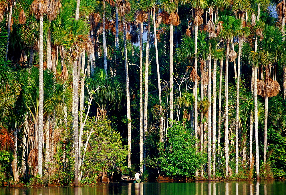 Man in boat at Lake Sandoval, Peruvian Rainforest, South America