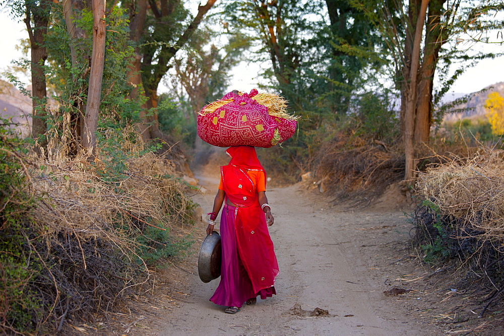 Agricultural worker returning home with hay after working in fields at Nimaj, Rajasthan, Northern India