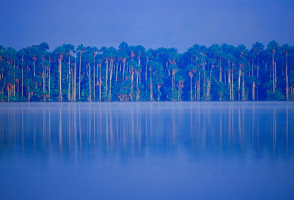 Lake Sandoval in the protected reserved zone Tambopata, Peruvian Rainforest, South America