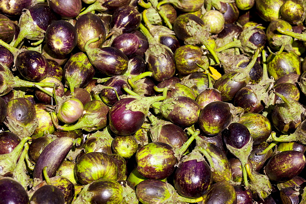 Fresh eggplants, aubergine, on sale in old town market Udaipur, Rajasthan, Western India,