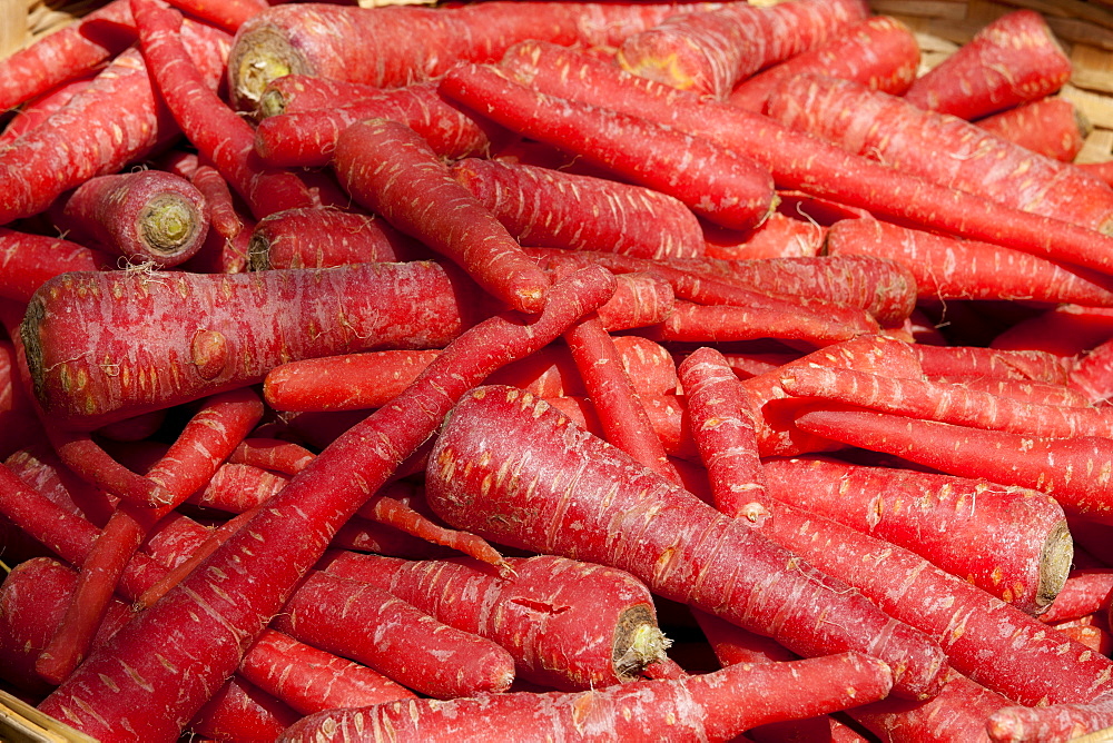 Fresh red carrots on sale in old town market Udaipur, Rajasthan, Western India,