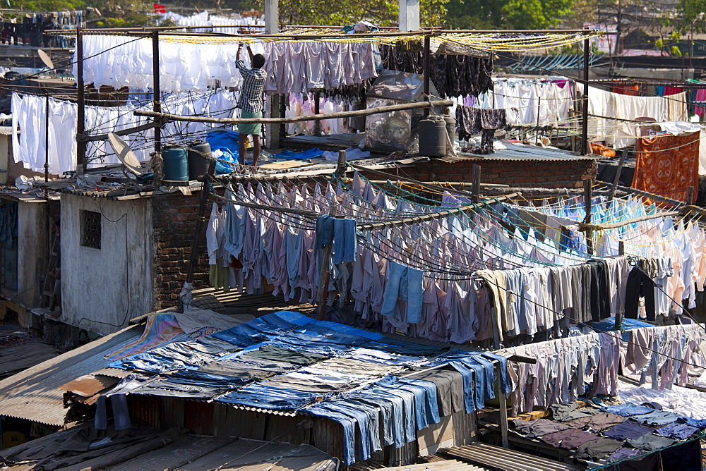 Traditional Indian professional hand laundry, Dhobi Ghat, in Mahalaxmi area of Mumbai, India