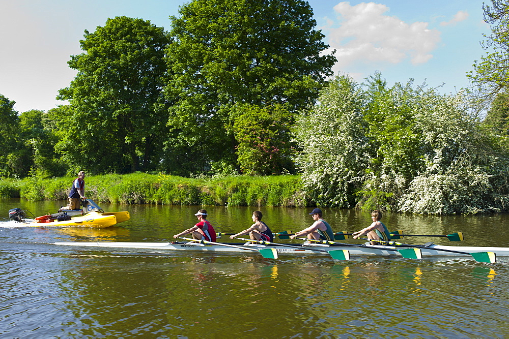 Coach trains oarsmen rowing skiff on the River Thames in Berkshire, UK