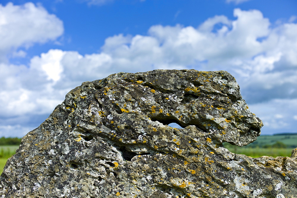 The Rollright Stones monument ancient stone shaped like an animal's head at Little Rollright in The Cotswolds, Oxfordshire, UK