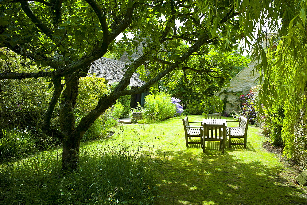 English cottage garden in Swinbrook in The Cotswolds, Oxfordshire, UK