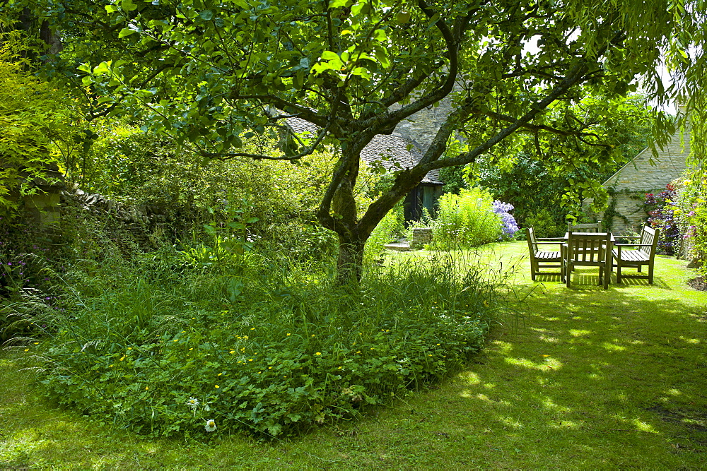 English cottage garden in Swinbrook in The Cotswolds, Oxfordshire, UK