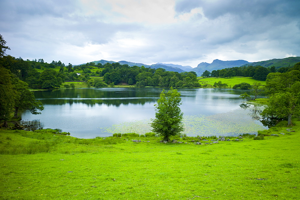 Loughrigg Tarn lake in the Lake District National Park, Cumbria, UK