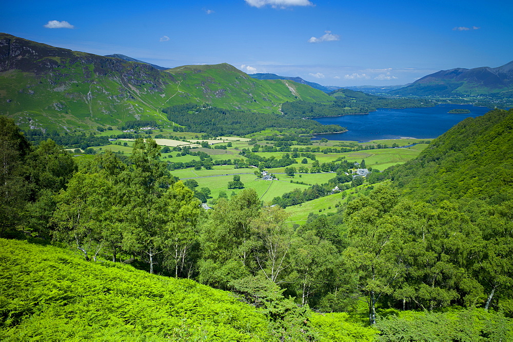 View of Derwent Fells in the Cumbrian mountains across Derwent Water in the Lake District National Park, Cumbria, UK