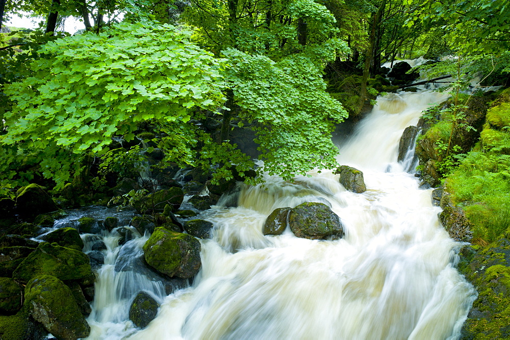 Launchy Gill waterfall by Thirlmere in the Lake District National Park, Cumbria, UK