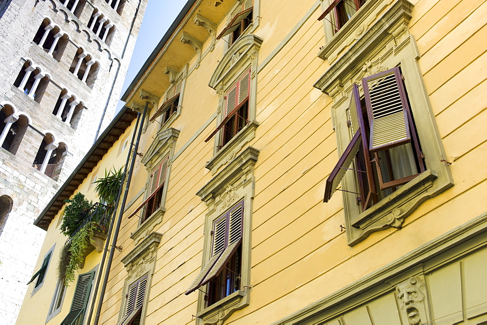 Torre Guinigi tower and window shutters in via Cesare Battisti in Lucca, Italy