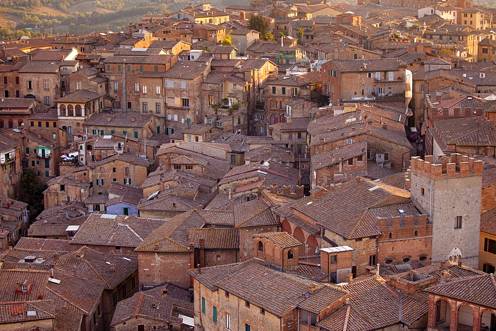 Aerial view of Siena from Il Torre, clock tower, in Piazza del Campo, Siena, Italy