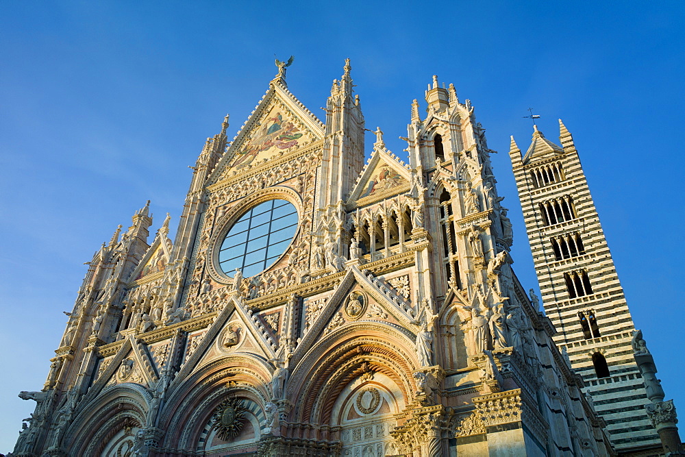 Il Duomo di Siena, the Cathedral of Siena, Italy